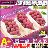 振億沭云南妮娜皇后葡萄【JD- 送貨上門(mén)】 時(shí)令生鮮水果 紅寶石無(wú)籽紅提 精選果王級 5斤 12g-15g【禮盒裝】