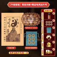 百年江南烏龜殼真龜甲文玩六爻搖工具算掛玩卦道具乾隆銅錢(qián)古幣手把件擺件 升級(jí)款-精品龜殼加大號(hào)+周易詳解