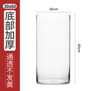 奇敬大號直筒高硼硅玻璃花瓶馬醉木富貴竹專(zhuān)用花瓶客廳酒店花瓶擺件 【口30×高60cm】 玻璃花瓶（不含花）
