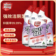 WHITE KING潔白王 潔廁劑 廁所清潔劑 99.99%除菌抑菌 廁所除臭神器 700ml 薰衣草香 700ml 3瓶 【除菌99.99%】