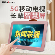 金正老人看戲機家用老年人唱戲機wifi網(wǎng)絡(luò)視頻播放器移動迷你便攜廣場舞視頻機音響 15英寸觸屏網(wǎng)絡(luò)版+64G音視頻U盤