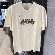 耐克（NIKE）短袖男裝LBJ詹姆斯純棉透氣圓領(lǐng)寬松籃球運動(dòng)服青年學(xué)生t恤衫半袖 FZ8074-113 2XL /185/100A