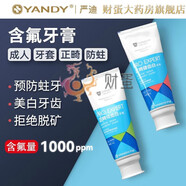 嚴(yán)迪正畸健齒白炫齒白牙膏 減少牙漬靚白牙齒低研磨微粒子溫和去漬不易損傷牙釉質(zhì)預(yù)防蛀牙正畸適用成人通用 【防蛀牙健齒】健齒白110g 2支 科學(xué)含氟量1000PPM