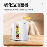 SAST車載冰箱8L小冰箱迷你母乳冰箱小型家用宿舍租房便攜式冰箱