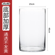 奇敬大號(hào)直筒高硼硅玻璃花瓶馬醉木富貴竹專用花瓶客廳酒店花瓶擺件 【口25×高40cm】 玻璃花瓶（不含花）