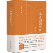 實務刑法評注（第二版）喻海松著  刑法規(guī)則集成 刑事訴訟程序的刑法全典 實務工作者的刑法工具書