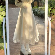 雷黛茜 溫柔系不規則網(wǎng)紗a字半身裙中長(cháng)款新款秋冬季裙子 杏色 常規款 M