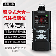 普利通 六合一四合一氣體檢測儀防爆接泵吸式工業(yè)濃度純實驗室有限空間 泵吸六合一【聯(lián)系客服定制】