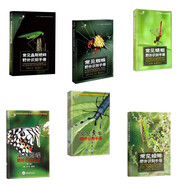 常見野外識(shí)別手冊(cè)套裝（螳螂+蜘蛛+蝴蝶+天牛+蜻蜓+蟋蟀）