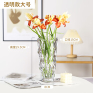 奇敬 北歐輕奢水晶玻璃花瓶波西米亞風(fēng)花瓶玫瑰百合插花瓶客廳花瓶 波西米亞【大號高29.5cm】透明色 單個玻璃花瓶（不含花）