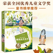 王一梅童書(shū)經(jīng)典長(zhǎng)篇童話(huà)--鼴鼠的月亮河 課外閱讀 閱讀 課外書(shū)暑假作業(yè) 一升二暑假銜接 小升初暑假銜接