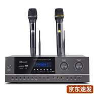 先科（SAST） 專業(yè)家庭影院ktv卡包音響套裝中級舞臺無源音箱 會議全頻音響 家庭卡拉OK av312V 300w功放