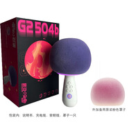 G2星球系列唱歌話筒音響一體麥克風家用k歌娛樂家庭ktv 唱吧G2-504b+備用粉色罩子 【全新 開發(fā)票】