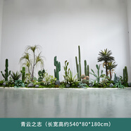 大型仿真綠植仙人掌造景室內(nèi)熱帶植物景觀裝飾樓梯下造景盆栽擺件 550cm 青云之志【大型造景】