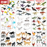 樂嘻玩毅彩動物模型 實心仿真玩具套裝認(rèn)知飛禽鳥類老鷹鸚鵡孔雀 TZA0872迷你小動物海陸空86