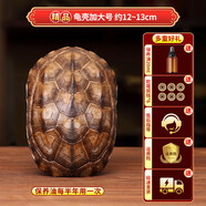 百年江南烏龜殼真龜甲文玩六爻搖工具算掛玩卦道具乾隆銅錢(qián)古幣手把件擺件 精品龜殼加大號(hào)【銅錢(qián)+保養(yǎng)油】