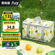 愛(ài)尚游（ASY）保溫袋飯盒袋保溫箱手提冰袋冷藏包母乳藥品保冷保鮮盒 保溫包保溫箱送餐箱 水果保鮮盒便當(dāng)包 媽咪包新媽媽背奶包戶(hù)外野餐包儲(chǔ)奶包 樹(shù)葉
