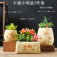 潤華年2023可愛(ài)動(dòng)物卡通多肉陶瓷肉肉植物花盆簡(jiǎn)約小盆批發(fā) 卡通小雞盆3件套