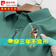 皮爾卡丹（pierre cardin）【易穿搭】美式短袖男商務(wù)高端t恤男常規(guī)袖休閑大馬標(biāo)帶領(lǐng)中年 綠色 XL 52/175 適合140-160斤