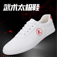 LISM武術(shù)太極鞋男女防滑帆布練功鞋兒童武術(shù)表演訓練小白鞋子 武術(shù)：白紅【盒裝】 小孩 40