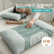 艾薇決明子磁石硬枕頭枕芯護頸椎助睡眠 一只裝 水綠 48*74cm