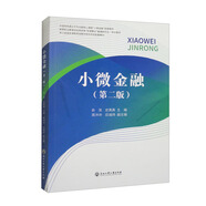 小微金融（第2版）
