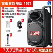 先科（SAST）廣場舞音響專業(yè)戶外k歌音箱帶話筒家用拉桿藍(lán)牙手拉麥克風(fēng) 15吋+單話筒