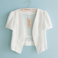 浮夏配裙子小披肩搭配吊帶裙的夏季外搭短袖外套短款蕾絲坎肩薄款開(kāi)衫 D26網(wǎng)紗 白色 L