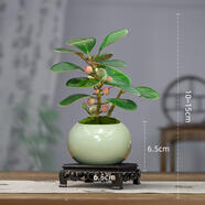 詩甲 小盼菩提綠植盆栽小盆景辦公室內(nèi)客廳陽臺禪意花卉節(jié)日高檔送禮 菩提+冰裂紋盆+圓底座