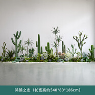 大型仿真綠植仙人掌造景室內(nèi)熱帶植物景觀(guān)裝飾樓梯下造景盆栽擺件 550cm 鴻鵠之志【大型造景】