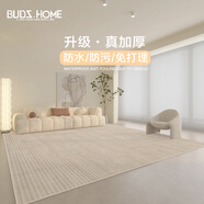 布迪思防水圈絨地毯客廳臥室奶油風(fēng)輕奢高級(jí)北歐INS風(fēng)沙發(fā)茶幾毯可定制 澤宇【加厚圈絨】 120*200CM小客廳毯