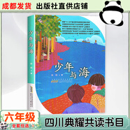 四川六年級雨季的陽光安徽少年兒童出版社小兵雄赳赳青島出版社中國軌道號螻蟻之城半條棉被湖南少年兒童出版社三十六只蜂箱追尋少年與海砂粒與星塵 少年與海-安徽少年兒童出版社