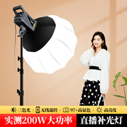 攝影怪兵器（hakutatz）LG-200PRO直播補(bǔ)光燈攝影燈200W球形柔光箱柔光球打光燈COB柔光燈主播直播專用影棚視頻直播燈