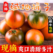 順豐丹東草莓柿子5斤西紅柿新鮮自然熟鐵皮柿子堿地生吃水果番茄 5斤 超值裝  順豐