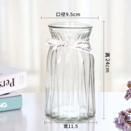 軍英（JUNYING） 軍英 玻璃花瓶彩色磨砂透明水培植物插花瓶客廳餐廳擺件花瓶 HP-16 C款 25*11cm 1只裝