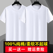 戰(zhàn)浩【2件】純棉短袖t恤男夏季衣服圓領(lǐng)半袖寬松白上衣純色打底衫體恤 白色+白色 XL 建議【130-145斤】