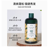 美體小鋪(THEBODYSHOP)TheBodyShop美體小鋪茶樹洗發(fā)水400ml平衡油脂洗頭膏控油舒緩 生姜洗發(fā)水400ml