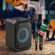 飛利浦（PHILIPS）SD308便攜式K歌音箱廣場(chǎng)舞戶外音響大功率移動(dòng)重低音藍(lán)牙 SD308單麥版