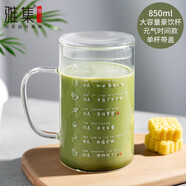 雅集豪飲杯厚玻璃茶杯辦公家用帶把手玻璃杯耐高溫男士大茶杯 850ml--杯子元氣時(shí)間款單杯