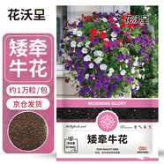 花沃里矮牽?；ǚN子1萬粒 花卉種子四季花種家庭盆栽土陽(yáng)臺(tái)庭院種植草籽