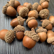 【橡果】橡子橡果裝飾手工干燥花掛件文藝干燥花干果插花橡果帶釘 圓橡果8個(gè) 干燥花包