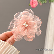 木丁丁紅色花朵玫瑰蝴蝶蘭邊夾女森系氛圍感發(fā)卡海邊度假發(fā)飾拍照 歐根紗花朵-橘粉發(fā)夾