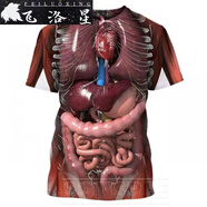 飛洛星醫(yī)學生搞笑3D印花T恤2024新款創(chuàng)意個性內(nèi)臟圖短袖男生個性潮流圓 1 M 【建議95-110斤】