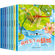 奇趣大自然科普繪本第一輯（全8冊）荷葉尖上的蜻蜓 花間飛舞的蝴蝶 會(huì )功夫的螳螂 會(huì )跳舞的小蜜蜂 進(jìn)擊的蚜蟲(chóng)獵人 夏日里的蟬鳴 小個(gè)子大力士 夜空中的螢火蟲(chóng)