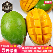 京地達(dá)攀枝花凱特芒果 5斤特大果單果450g+肉厚無(wú)絲新鮮水果源頭直發(fā)