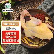 硒全食美富硒老鴿 凈重400g/只 冷凍 供港鴿子生鮮冷鏈 煲湯優(yōu)選鹵煮食材