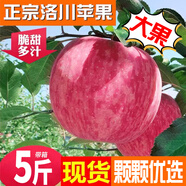洛川蘋(píng)果陜西延安特產(chǎn)紅富士時(shí)令蘋(píng)果水果禮盒送蘋(píng)果生鮮新鮮脆甜整箱批發(fā) 5斤80-85mm（凈重4.5斤）大果