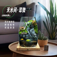 丘辰苔蘚微景觀養(yǎng)魚生態(tài)瓶diy辦公室內(nèi)桌面綠植擺件花卉盆栽生日禮物 翠微松（香薰底座）