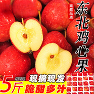 菓靈稥【現貨】東北雞心果小蘋(píng)果錦繡海棠果沙果新鮮水果甜脆 5斤特大果 送禮佳選 商超品質(zhì)