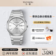 TELENSOSU品牌典藏系列手表男全自動(dòng)機(jī)械手表雙日歷夜光高端男士腕表送父親 【進(jìn)口機(jī)芯】銀色太陽紋-男款 【專柜禮盒】